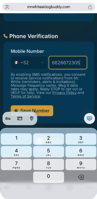 Step 1 — verify mobile number, with the SMS consent disclosure displayed